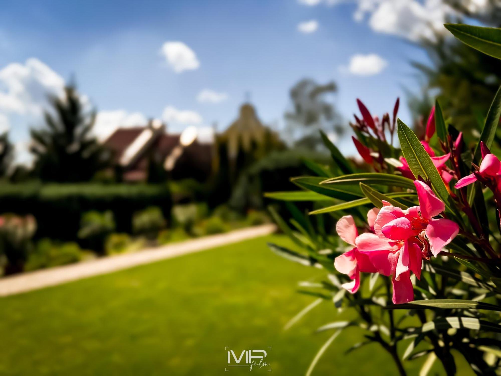 Hotel Szent Istvan Eğri Dış mekan fotoğraf